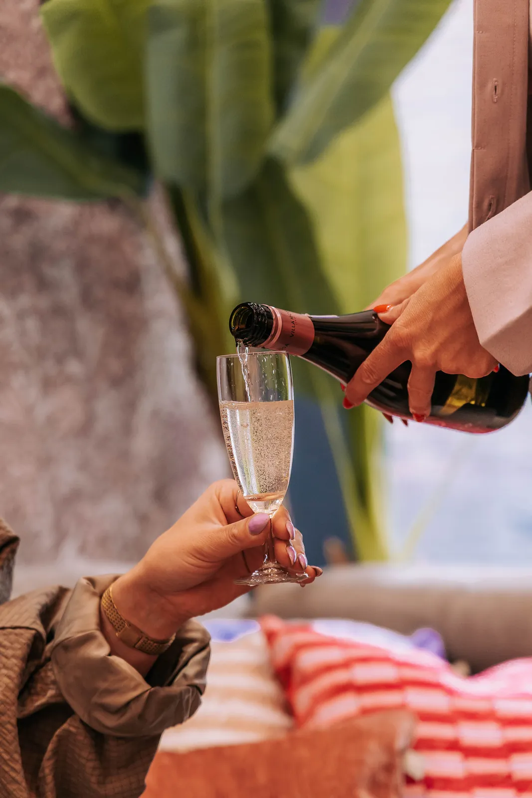Een glas bubbels wordt ingeschonken voor een klant op de bank in de huiskamer van KUIF, met een grote plant en gestreepte kussens