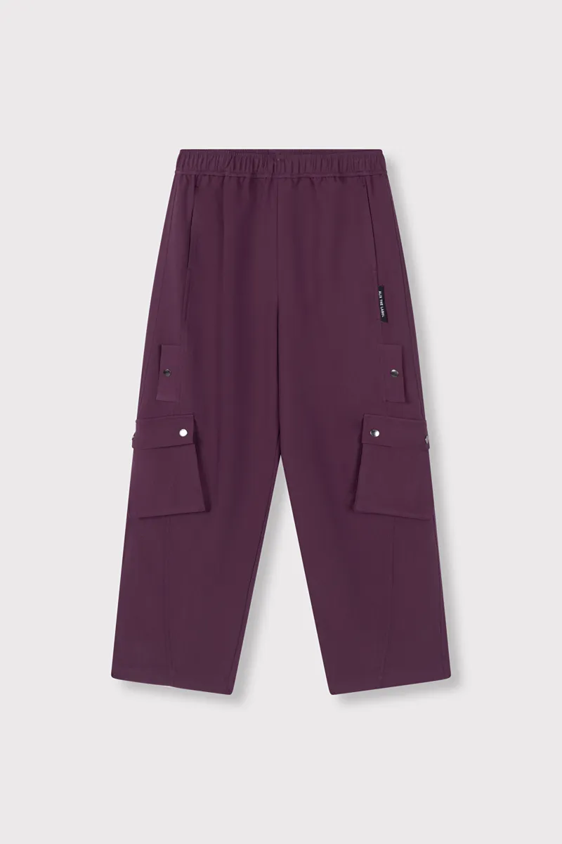 Cargo Pants van ALIX The Label, kleur Aubergine
